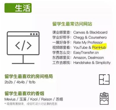 canvas英语,canvas英语什么意思