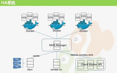 管理信息系统中mysql起什么作用,mysql用什么管理数据库