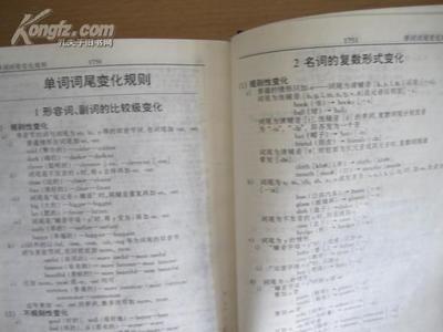 dictionary变复数,dictionary变成复数