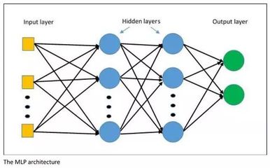 layers的中文意思,layered什么意思中文