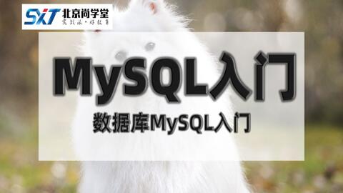 mysql零基础入门教程完整,mysql简单入门