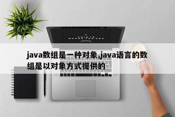 java数组是一种对象,java语言的数组是以对象方式提供的